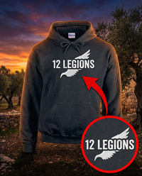 Load image into Gallery viewer, 12 LEGIONS - Matthew 26:53 Christian Tee