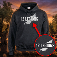 Load image into Gallery viewer, 12 LEGIONS - Matthew 26:53 Christian Tee