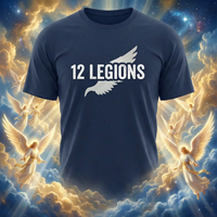 Load image into Gallery viewer, 12 LEGIONS - Matthew 26:53 Christian Tee